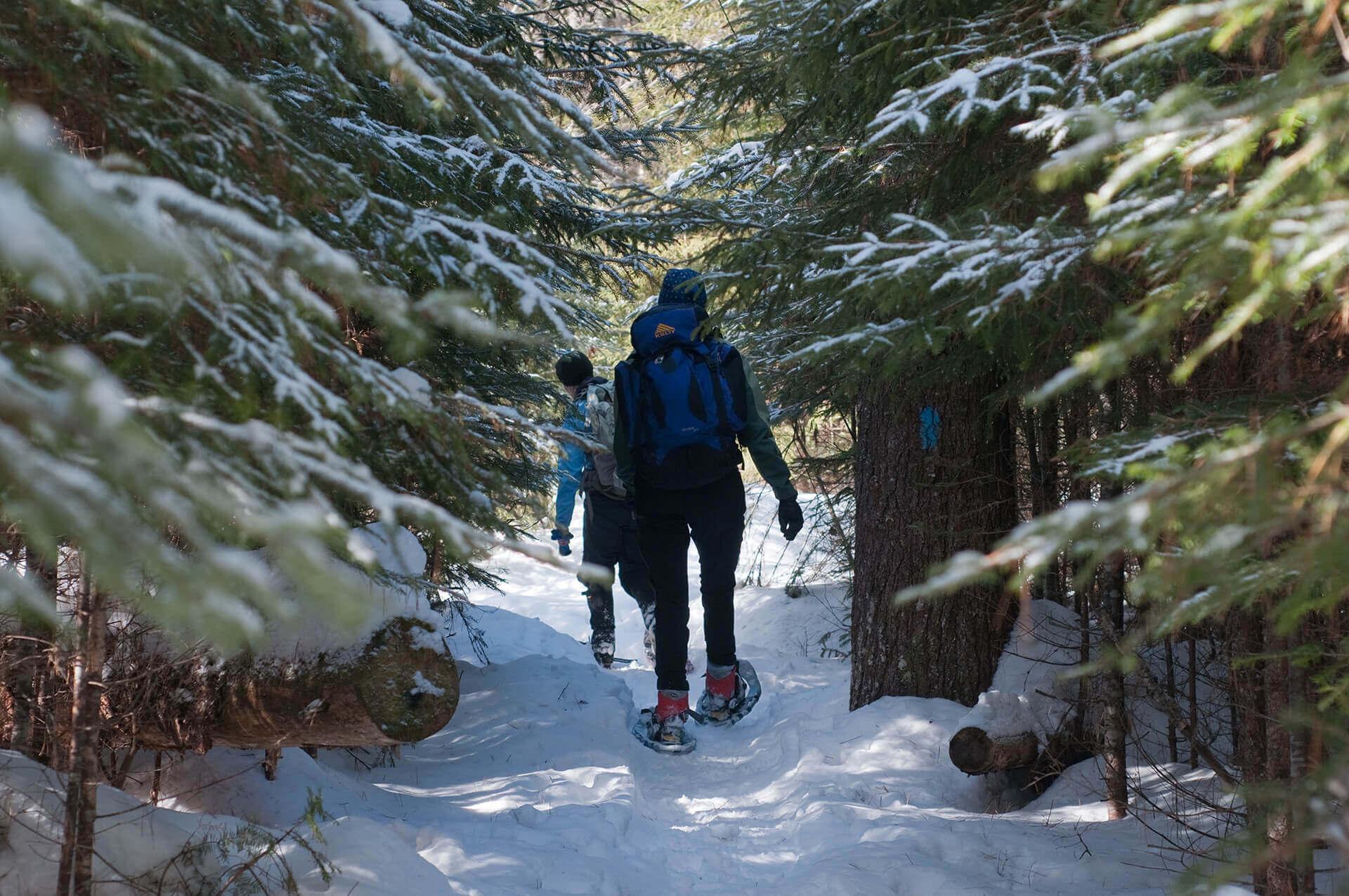 5 BeginnerFriendly New England Snowshoeing Trails New England Inns